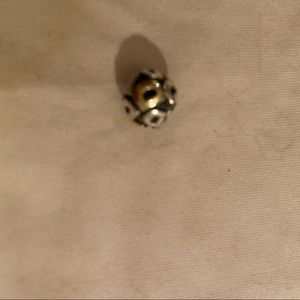 Pandora charm